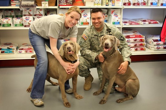 Duke (left) Adoption Photo