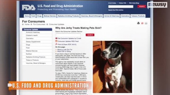 5384227-Dogs-Dying-from-Jerky-Treats-FDA-Unsure-Why