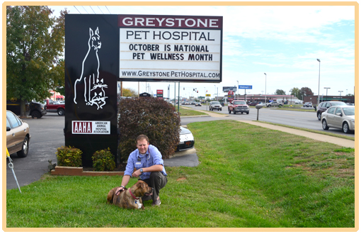 bowling green veterinarian