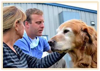 bowling green pet wellness